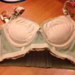 Romantic Floral Lace Seamless Embroidery Bra and Panty Set crafted with soft breathable fabric and delicate embroidery, offering comfort with a feminine touch.