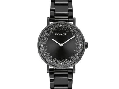 Bold Coach Black Stainless Watch — 027