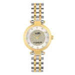 Graceful Coach Park Two-Tone Watch — 034