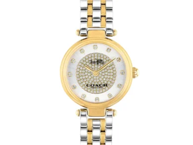 Graceful Coach Park Two-Tone Watch — 034