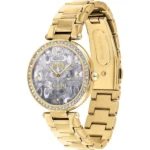 Radiant Coach Park Gold Watch — 039 1