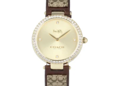 Timeless Coach Park Gold Watch — 032