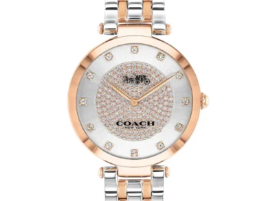 Timeless Coach Park Two-Tone Silver Watch — 040