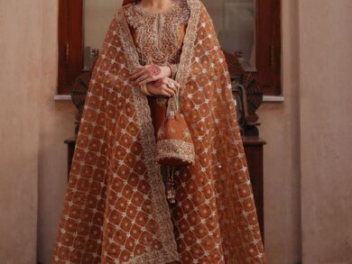 Ayesha’s Antique Copper Party Dress 3