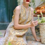 Ayesha's Antique Gold Party Dress 2