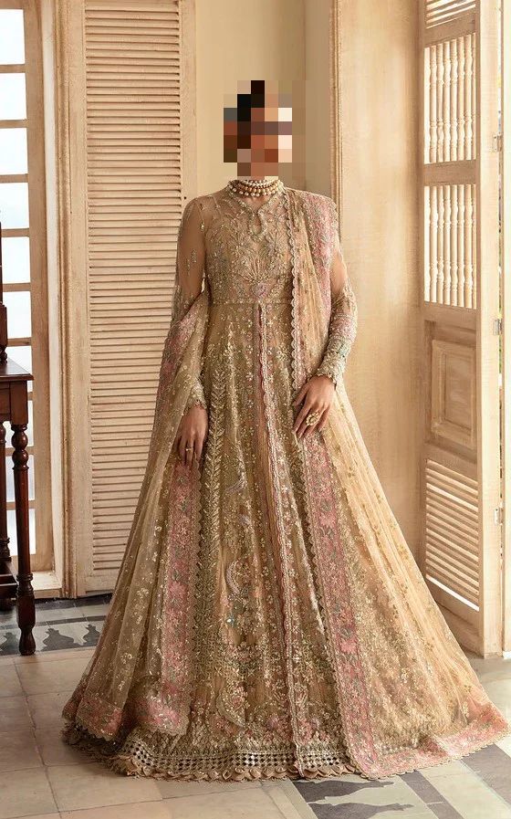 Ayesha’s Champagne Beige Party Dress Ayesha’s Champagne Beige Party Dress