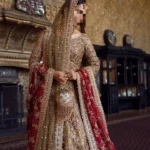 Ayesha’s Champagne Bridal Dress