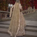 Ayesha’s Champagne Bridal Dress 3