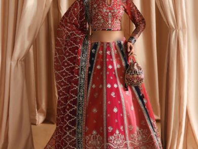 Ayesha’s Crimson Red Wedding Dress 3