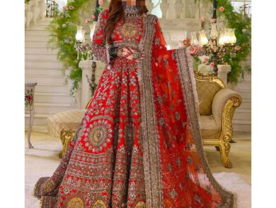Ayesha’s Deep Red & Antique Gold Wedding Dress