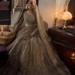 Ayesha’s Elegant Maroon Bridal Dress 1