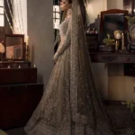 Ayesha’s Elegant Maroon Bridal Dress