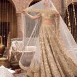 Ayesha’s Graceful Cream Bridal Dress