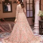 Ayesha’s Graceful Soft Rose Pink Bridal Dress 1