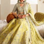 Ayesha’s Lemon Yellow Party Dress 3