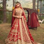 Ayesha’s Majestic Royal Red Bridal Dress