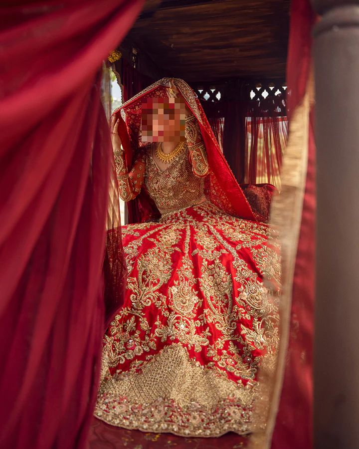 Ayesha’s Majestic Royal Red Bridal Dress 2 Ayesha’s Majestic Royal Red Bridal Dress 2