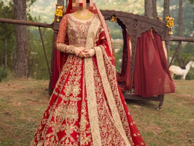 Ayesha’s Majestic Royal Red Bridal Dress