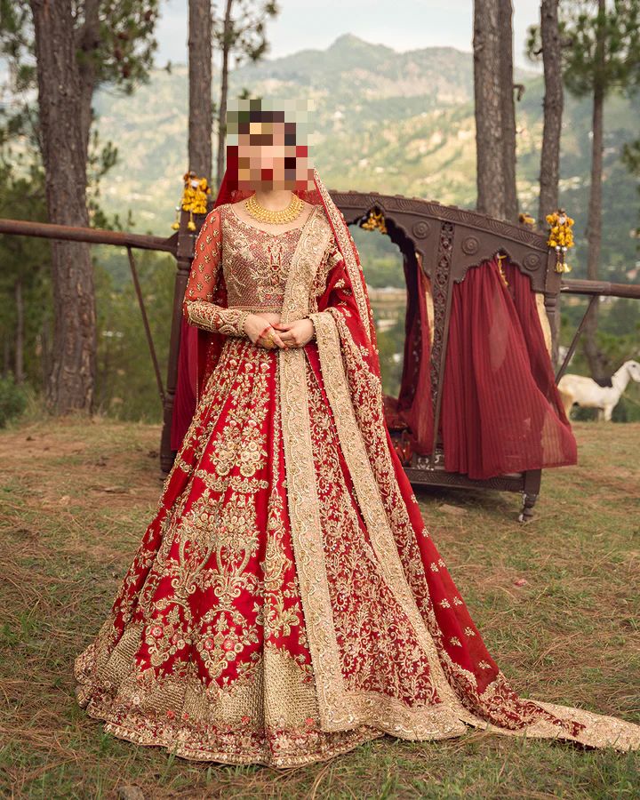 Ayesha’s Majestic Royal Red Bridal Dress Ayesha’s Majestic Royal Red Bridal Dress