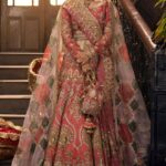 Ayesha’s Opulent Deep Rose Party Dress 2