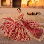 Ayesha’s Radiant Maroon Bridal Dress 3