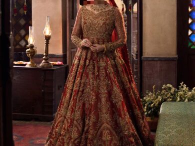 Ayesha’s Refined Rust Red Bridal Dress