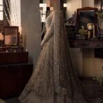 Ayesha’s Regal Beige Gold Party Dress