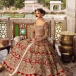 Ayesha’s Regal Ivory Bridal Dress 1