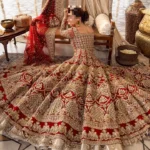 Ayesha’s Regal Ivory Bridal Dress