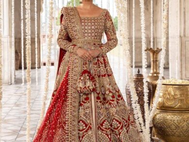 Ayesha’s Regal Ivory Bridal Dress 2