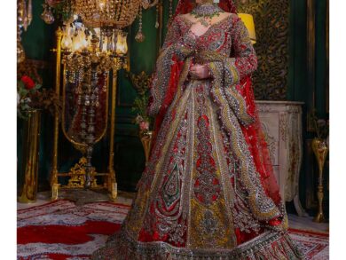 Ayesha’s Ruby Red & Antique Gold Wedding Dress