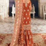 Ayesha’s Rust Orange Party Dress 2