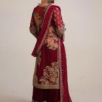 Ayesha’s Deep Garnet Party Dress 2