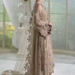 Ayesha’s Soft Taupe Pearl Party Dress 2